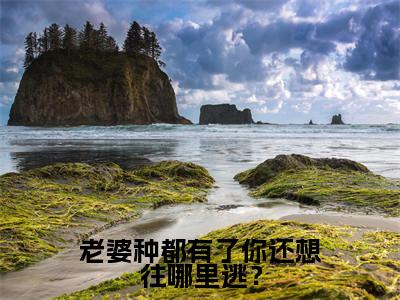 老婆种都有了你还想往哪里逃？在线阅读（林思念封御）全文免费阅读无弹窗大结局_（老婆种都有了你还想往哪里逃？全文免费阅读）最新章节列表