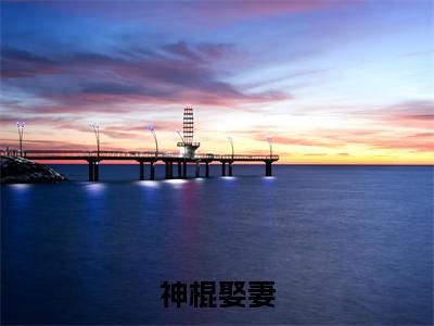 主角为林戏酒白祁的小说（神棍娶妻）无弹窗大结局-最新小说神棍娶妻全文阅读最新章节列表_笔趣阁