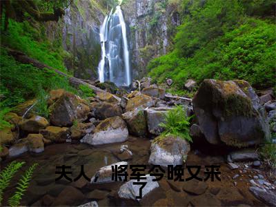夫人，将军今晚又来了李漫芷墨潇宸全文小说-夫人，将军今晚又来了小说最新章节免费阅读