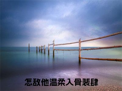 沈娇裴肆（怎敌他温柔入骨裴肆）全集免费阅读无弹窗_（怎敌他温柔入骨裴肆小说免费阅读）_笔趣阁