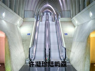 热门小说许凝珍陆屿森许凝珍陆屿森全文免费阅读无弹窗大结局-许凝珍陆屿森全文无弹窗免费阅读大结局