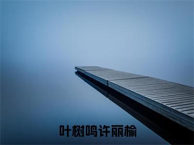 叶树鸣许丽榆小说最新章节-许丽榆叶树鸣全文免费阅读无弹窗大结局