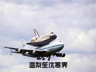 温梨笙沈寒霁全文免费阅读全文免费阅读无弹窗大结局_温梨笙沈寒霁全文免费阅读