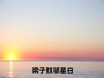 梁子默邬星白小说:（梁子默邬星白）全文免费阅读无弹窗大结局_邬星白梁子默小说:梁子默邬星白最新章节列表
