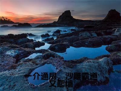 一介通房，沙雕霸道又爬墙（稗稗）全文免费阅读无弹窗大结局_一介通房，沙雕霸道又爬墙（稗稗）全文阅读_笔趣阁