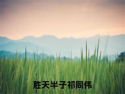 胜天半子祁同伟小说（祁同伟）全文免费阅读无弹窗大结局_胜天半子祁同伟全文免费完结版阅读（祁同伟）