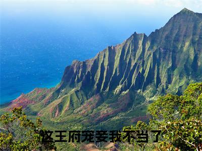 这王府宠妾我不当了小说（李睿安沐夕）全文免费阅读无弹窗大结局_（这王府宠妾我不当了）李睿安沐夕小说最新章节列表