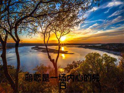 暗恋是一场内心的独白沈璐顾叶明抖音热推新书小说全文阅读（沈璐顾叶明）全文免费阅读大结局