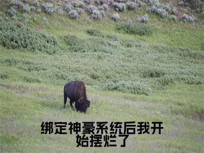 陆辰绑定神豪系统后我开始摆烂了小说全文免费阅读_陆辰（绑定神豪系统后我开始摆烂了）最新章节列表笔趣阁