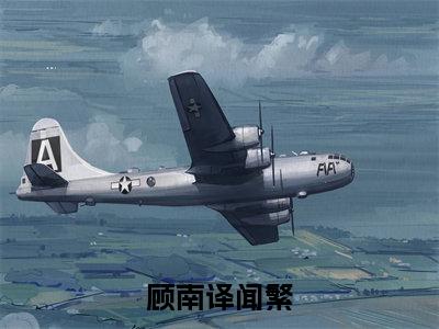 主角为顾南译闻繁的小说（顾南译闻繁）大结局免费阅读-顾南译闻繁全文免费阅读笔趣阁