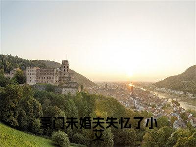 豪门未婚夫失忆了小艾小说（秦骁图小艾）全文免费阅读_（秦骁图小艾）豪门未婚夫失忆了小艾小说最新章节列表