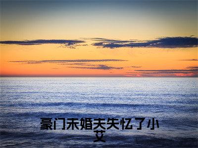 豪门未婚夫失忆了小艾（秦骁图小艾）全文免费阅读豪门未婚夫失忆了小艾最新章节小说免费阅读_笔趣阁