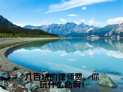 几百块的律师费，你玩什么命啊！最新章节（苏青柏）全文免费阅读无弹窗大结局_苏青柏免费阅读