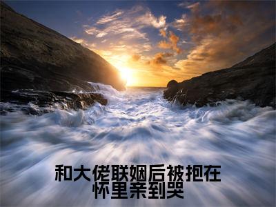 和大佬联姻后被抱在怀里亲到哭小说免费阅读沈既白霍衍舟完整版全文大结局