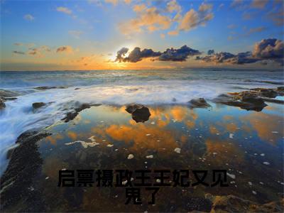 墨北寒沈易安全文免费（启禀摄政王王妃又见鬼了）全集小说完整版大结局-墨北寒沈易安全文阅读无弹窗