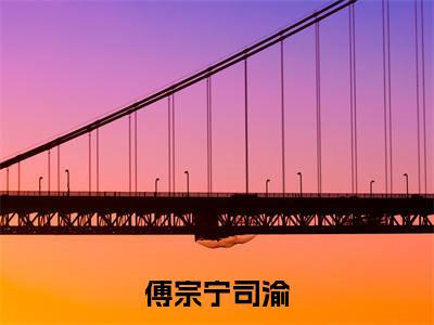 司渝傅宗宁（傅宗宁司渝）全文免费阅读无弹窗大结局_司渝傅宗宁免费试读阅读全文无弹窗