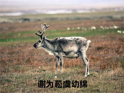 虞幼绵谢为菘（谢为菘虞幼绵）免费阅读无弹窗大结局-谢为菘虞幼绵（最新全章节大结局）全文阅读