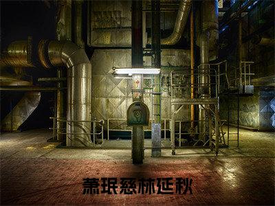 萧珉慈林延秋（林延秋萧珉慈）全文免费阅读无弹窗大结局_林延秋萧珉慈最新章节列表_笔趣阁（萧珉慈林延秋）