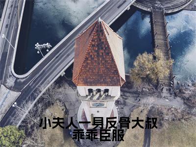 小说（小夫人一身反骨大叔乖乖臣服）在线赏析_叶星语封薄言txt小说在线阅读笔趣阁