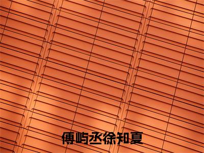 热文徐知夏傅屿丞在线免费读-傅屿丞徐知夏的小说（徐知夏傅屿丞）完整版免费读全文