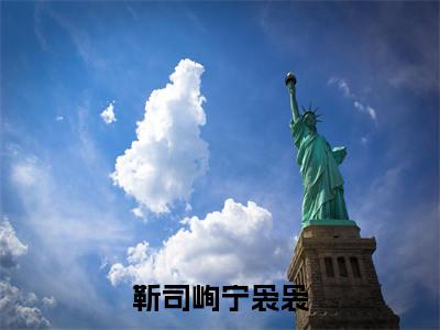 靳司峋宁袅袅小说（宁袅袅靳司峋）全文免费阅读无弹窗大结局_宁袅袅靳司峋小说免费阅读无弹窗最新章节列表
