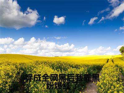 高赞小说穿成全网黑后我靠黑粉爆红了（林霜）完结阅读_林霜穿成全网黑后我靠黑粉爆红了免费看全文