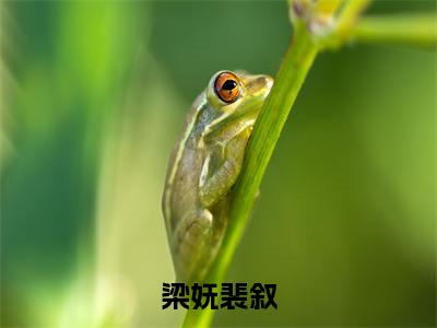 梁妩裴叙小说免费阅读梁妩裴叙免费阅读无弹窗小说