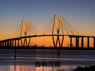 容屿沈微（沈微容屿）免费阅读无弹窗-小说容屿沈微大结局全文免费阅读