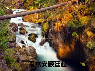 程木安顾廷越（程木安顾廷越）全文免费阅读_程木安顾廷越（程木安顾廷越）最新章节列表笔趣阁