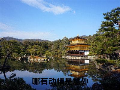 哪有动情是意外（纪知意傅明楼全文在线阅读）-哪有动情是意外（纪知意傅明楼）免费阅读无删减完整版