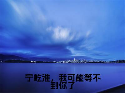（番外）+（全文）宁屹淮，我可能等不到你了小说免费下载阅读_（宁屹淮，我可能等不到你了）江眠笙宁屹淮最新章节列表_笔趣阁（江眠笙宁屹淮）