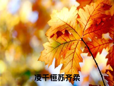 凌千恒苏齐柔小说苏齐柔凌千恒-凌千恒苏齐柔小说在哪里可以看
