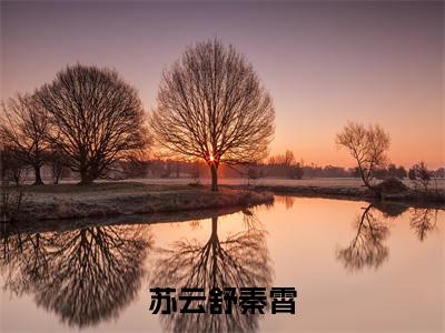 苏云舒秦霄小说全文免费阅读_苏云舒秦霄（秦霄苏云舒）最新章节列表在线阅读