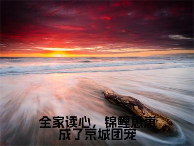 全家读心，锦鲤崽崽成了京城团宠小说（鱼卷卷）全文免费阅读无弹窗_全家读心，锦鲤崽崽成了京城团宠小说最新章节免费阅读_笔趣阁（鱼卷卷）