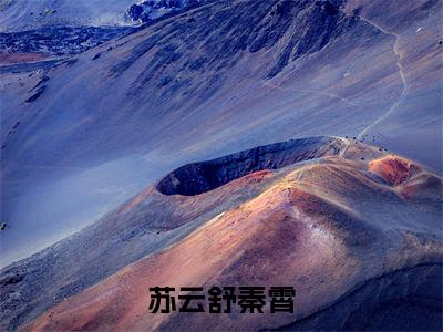 苏云舒秦霄全文免费在线阅读_（苏云舒秦霄免费阅读无弹窗）秦霄苏云舒全文免费完结版阅读（苏云舒秦霄）