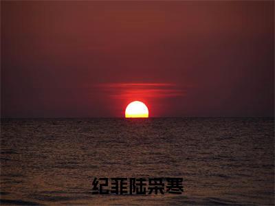 纪菲陆枭寒（陆枭寒纪菲）精彩小说-小说陆枭寒纪菲全文无删减版免费阅读