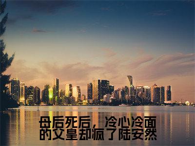 母后死后，冷心冷面的父皇却疯了陆安然陆安然慕辞无广告阅读新上热文陆安然慕辞在线免费读