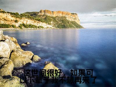 纪暖谢言昭（这世间很好，如果可以下辈子我不想再来了）全文免费阅读无弹窗大结局_这世间很好，如果可以下辈子我不想再来了（纪暖谢言昭无弹窗）_笔趣阁