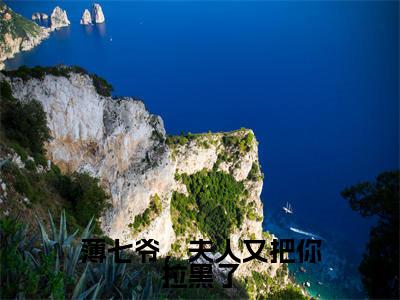 全章节完整《薄七爷，夫人又把你拉黑了》全文阅读《陌颜薄西宴》