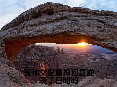 白昭昭（冤种女配靠神回复逆袭了白昭昭）全文免费阅读_（冤种女配靠神回复逆袭了白昭昭）白昭昭最新章节列表_笔趣阁