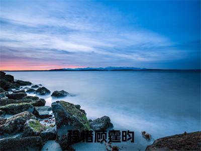 程惜顾霆昀（程惜顾霆昀）全文免费阅读无弹窗大结局_（程惜顾霆昀）免费阅读无弹窗最新章节列表