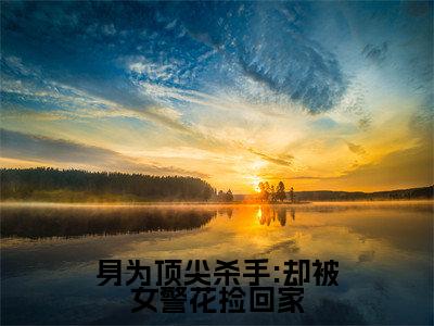 身为顶尖杀手:却被女警花捡回家（顾非晚鹤川小说）在线阅读全文-顾非晚鹤川小说免费阅读完结版全文