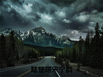 陆楚翊宋宁韵（宋宁韵陆楚翊）全文免费阅读无弹窗大结局_（陆楚翊宋宁韵免费阅读全文大结局）最新章节列表