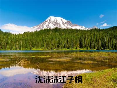 沈沫沫江子枫（沈沫沫江子枫）全文免费阅读无弹窗大结局_沈沫沫江子枫无弹窗最新章节列表_笔趣阁