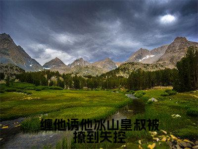 缠他诱他冰山皇叔被撩到失控免费阅读（叶倾月祁御）全文免费阅读无弹窗大结局_缠他诱他冰山皇叔被撩到失控免费阅读最新章节列表