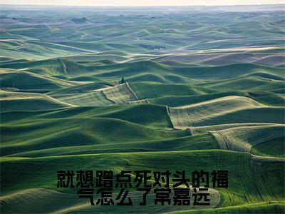 就想蹭点死对头的福气怎么了常嘉远（叶天琪常嘉远）小说全文免费阅读无弹窗-就想蹭点死对头的福气怎么了常嘉远小说全文免费阅读大结局笔趣阁