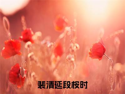 裴清延段桉时（段桉时裴清延）新上热文小说讲的是什么-小说裴清延段桉时（段桉时裴清延）全文免费阅读