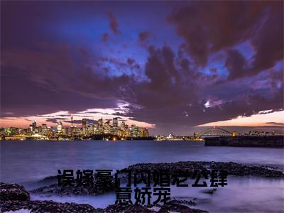 误嫁豪门闪婚老公肆意娇宠热门榜单小说傅宴辞林舒言完本小说无弹窗免费阅读