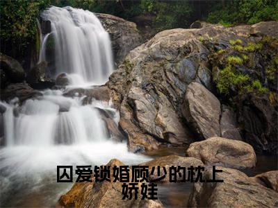 囚爱锁婚顾少的枕上娇娃免费阅读无弹窗，小说顾君弦苏栀年大结局全文免费阅读