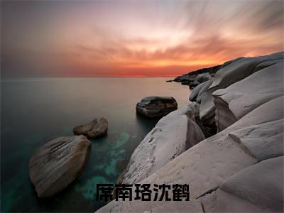 沈鹤席南珞小说席南珞沈鹤最新章节阅读-最新热点小说沈鹤席南珞